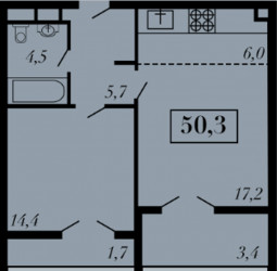 Двухкомнатная квартира 50.3 м²